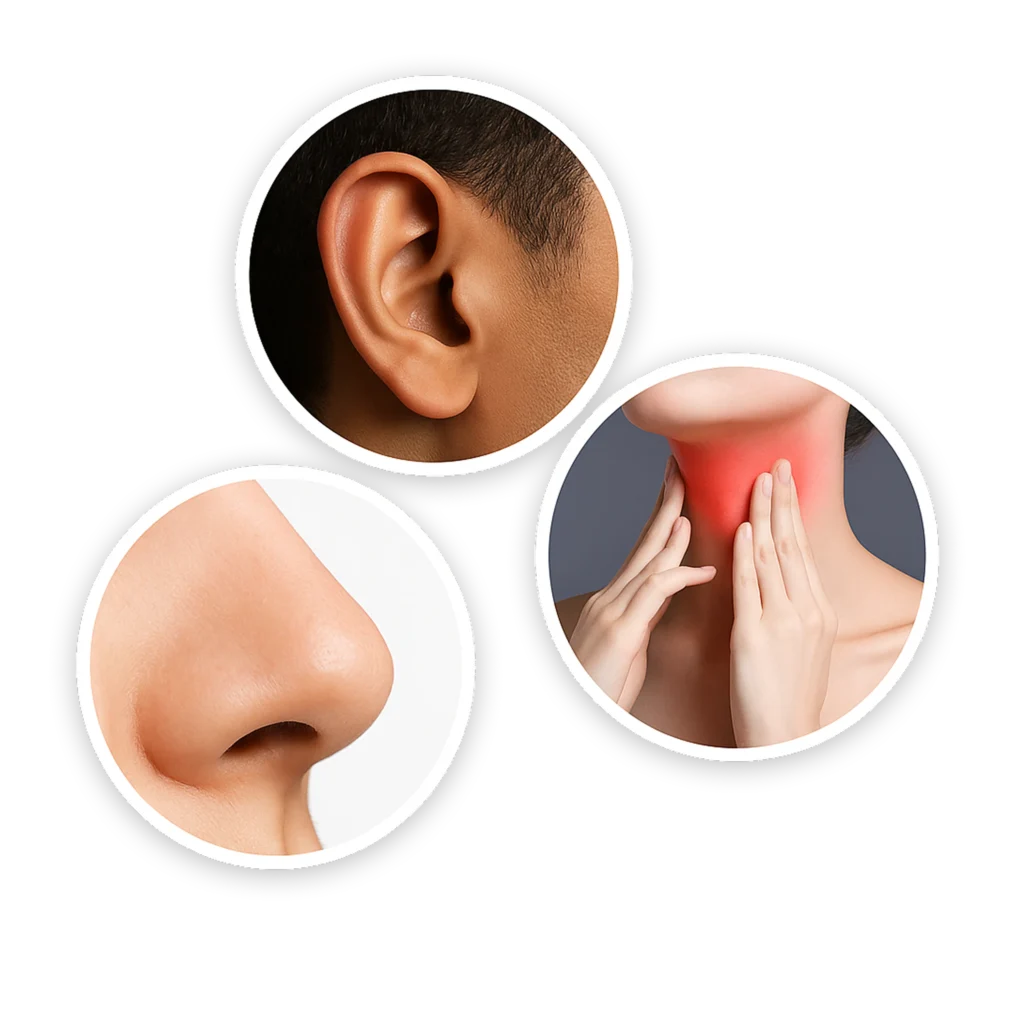 25f8cf3b 8cd4 4333 8901 2202462522f8 1